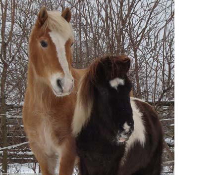 rustykrueme